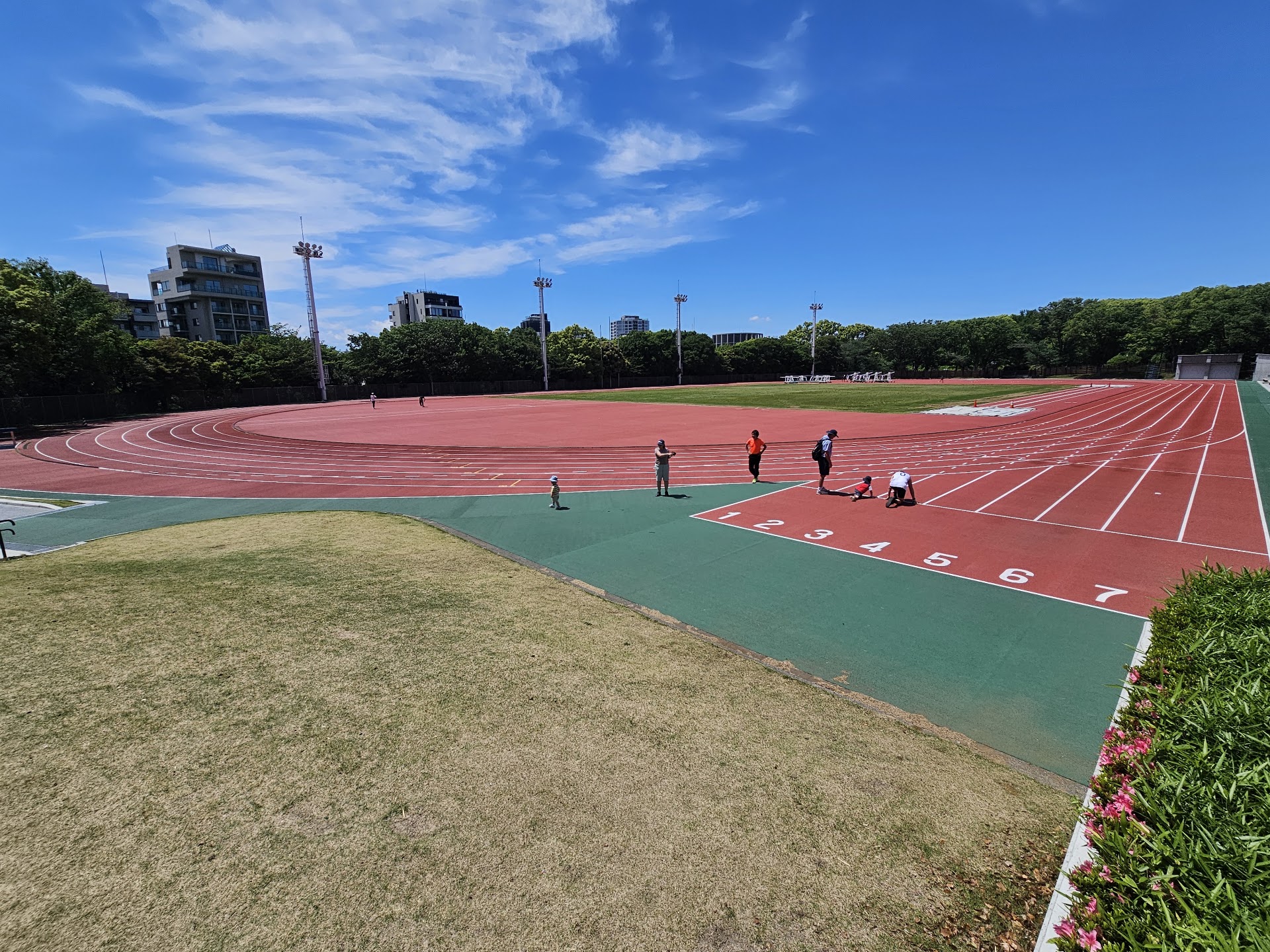 公の場での発言・インタビュー報道記録