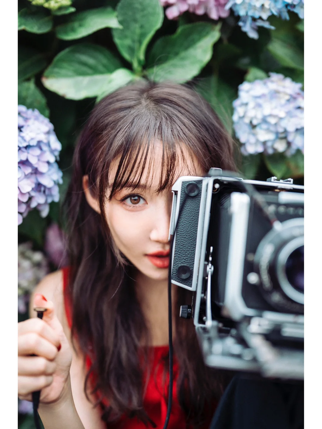 I Declare! This is the Most Stunning Spot for Hydrangea Photos in Tokyo