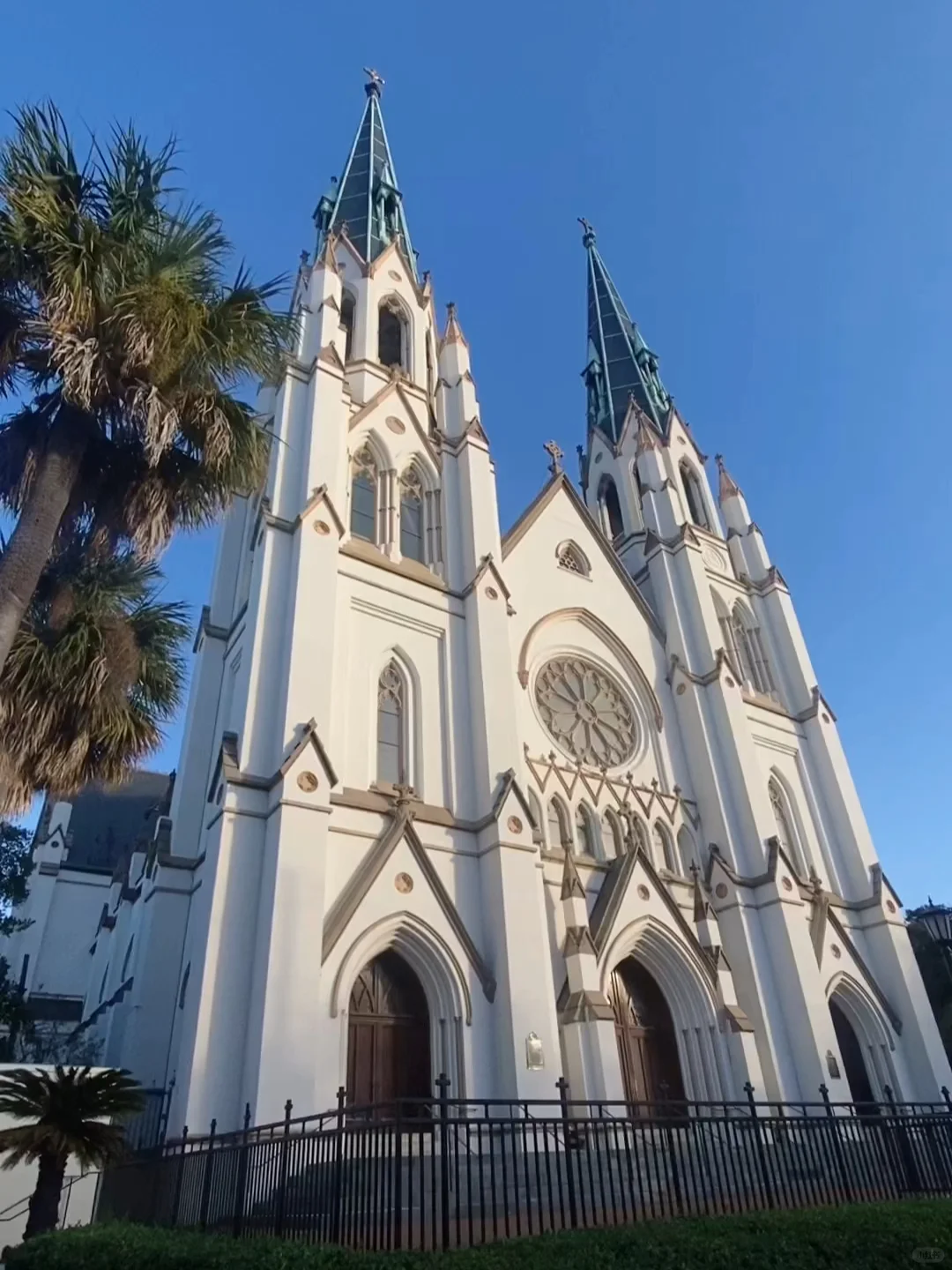 Must-Visit Spots in Savannah You Can't Miss!