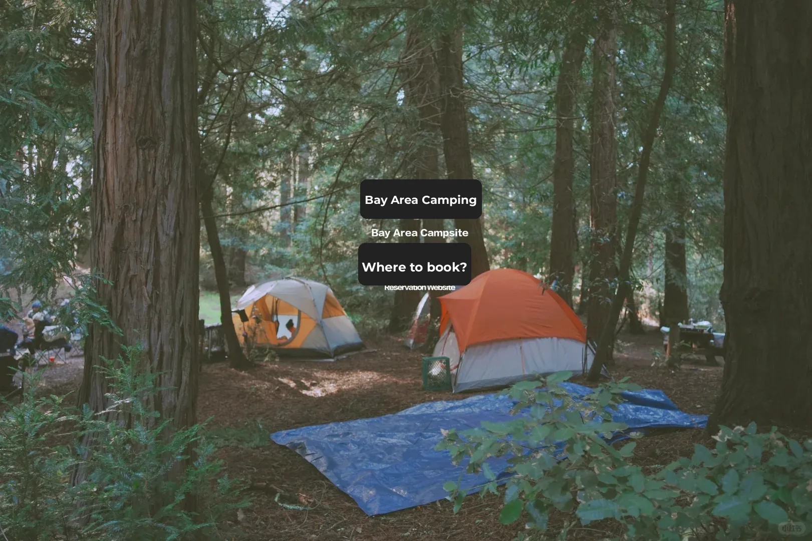Bay Area Camping Spots | Hidden Gem Booking Site