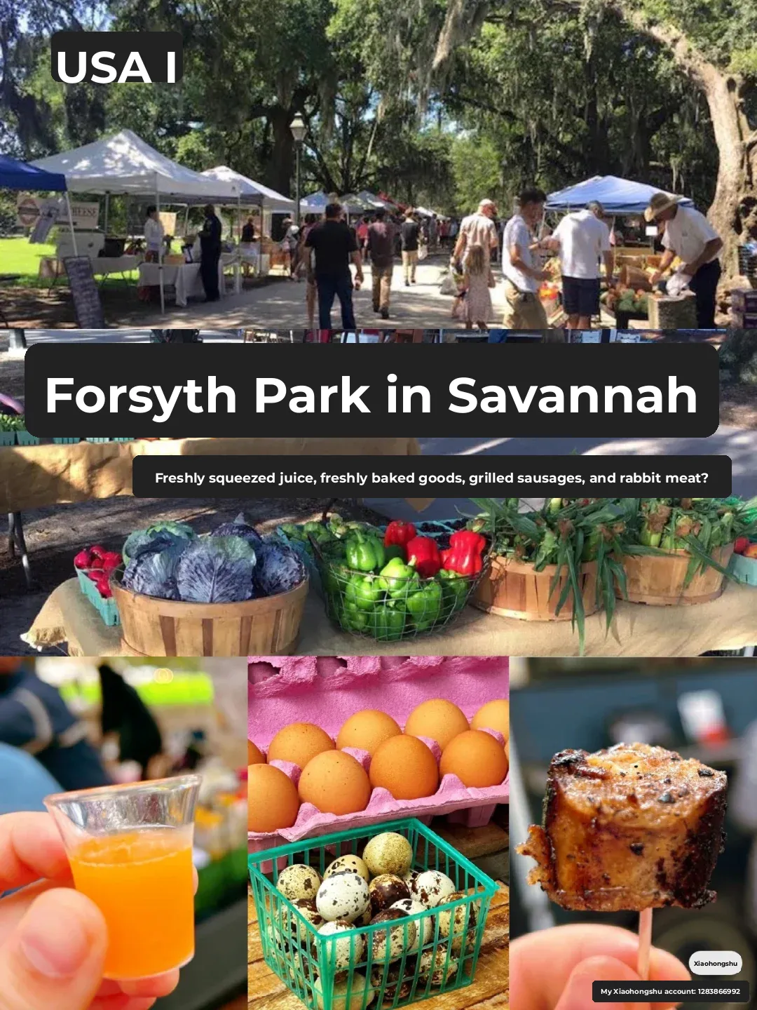 Off to the Market! Must-Try Local Delights