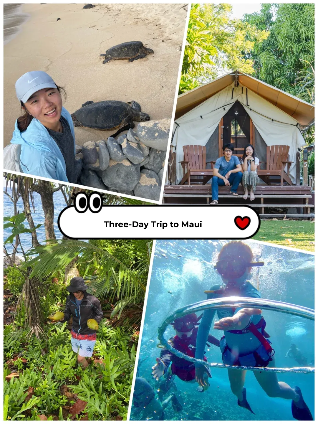 Hawaii Glamping | Highly Recommended Hidden Gem