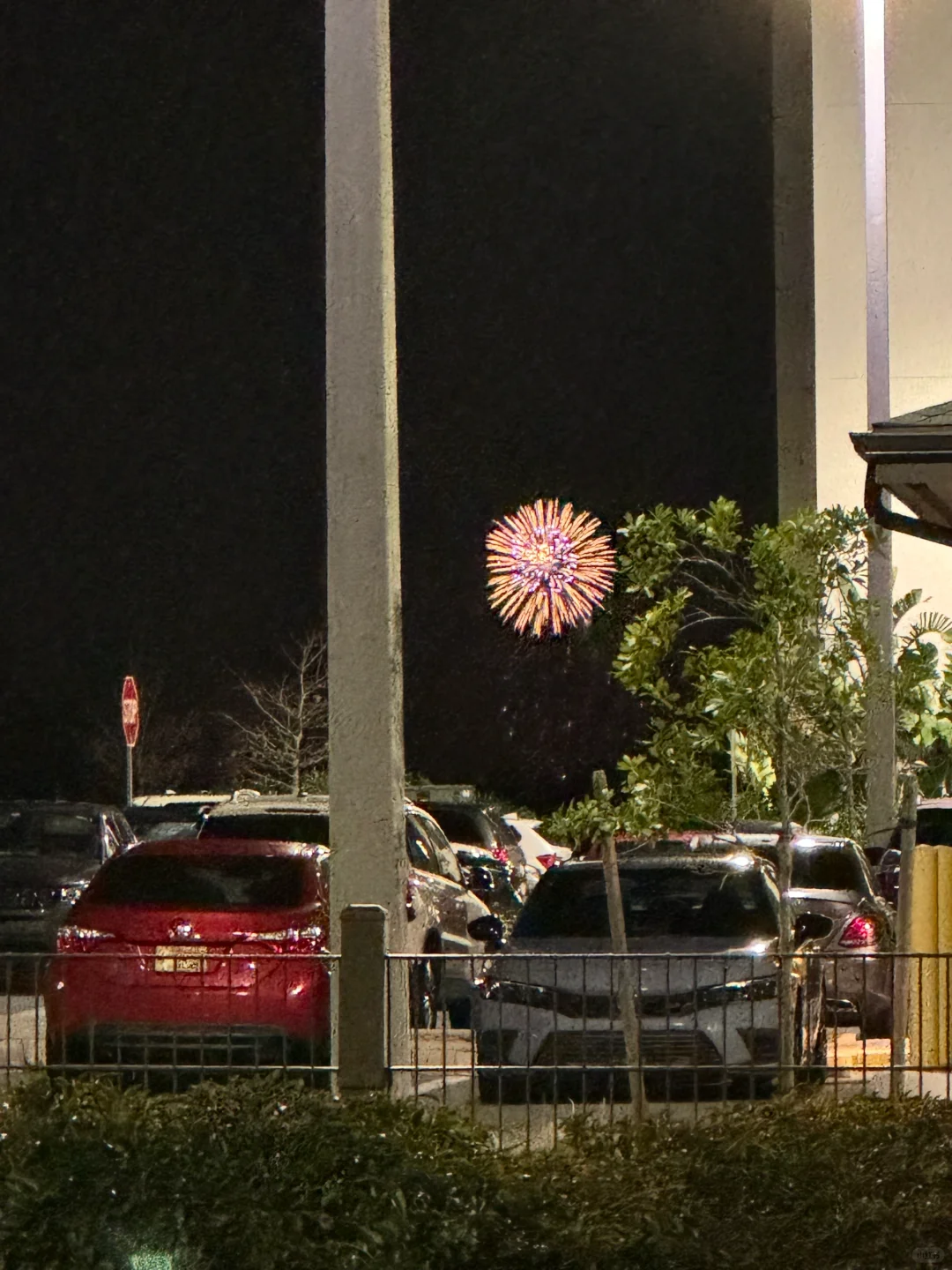 Anyone in Orlando want to hang out! 🙂‍↔️