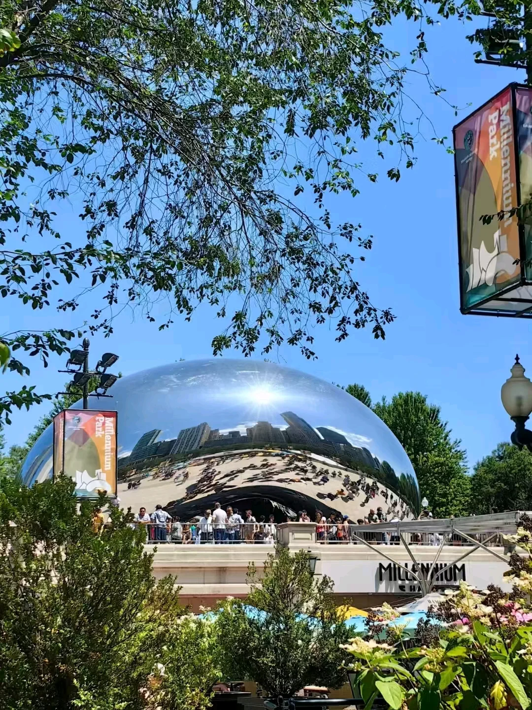 Must-See in Chicago! Don’t Miss These 🆓 Attractions or Your Trip Is Wasted