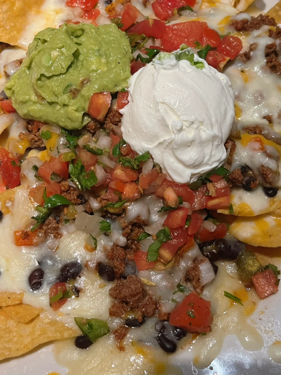 Seattle | Cielo Cocina Mexicana – Authentic Mexican Cuisine