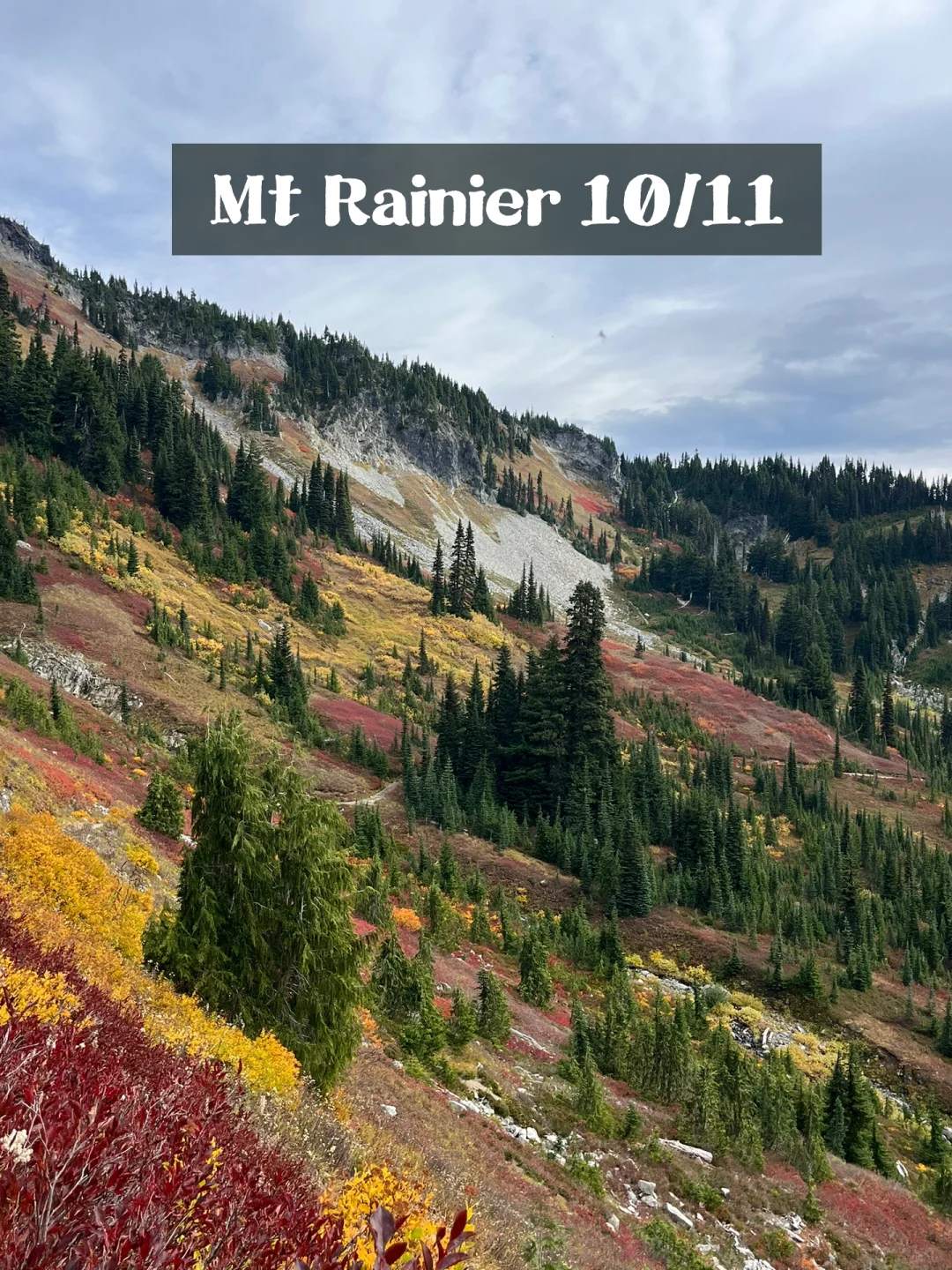 Rainier's Fall Colors, Snow Incoming Soon, Let's Go This Weekend!