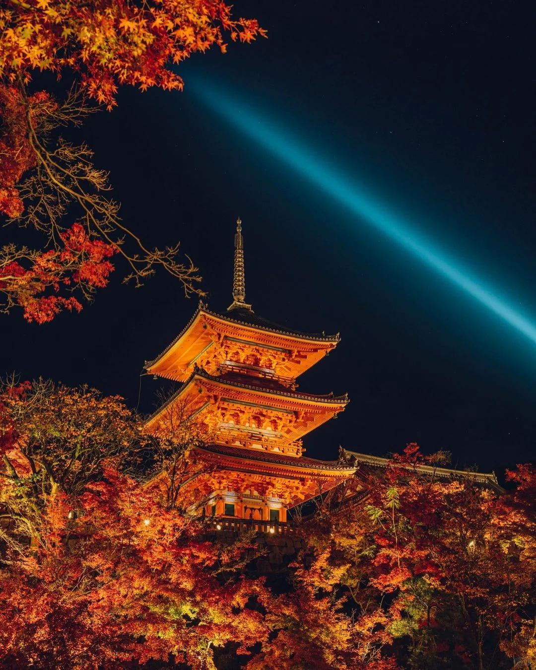 Kyoto | Illuminated Temples at Night for Autumn Foliage (Spoiler Alert at the End)