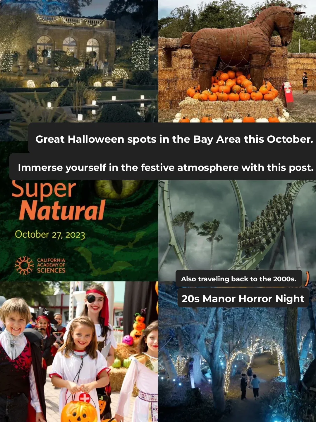 Top Halloween Spots in the Bay Area This October | 🎃 All Summarized Here!