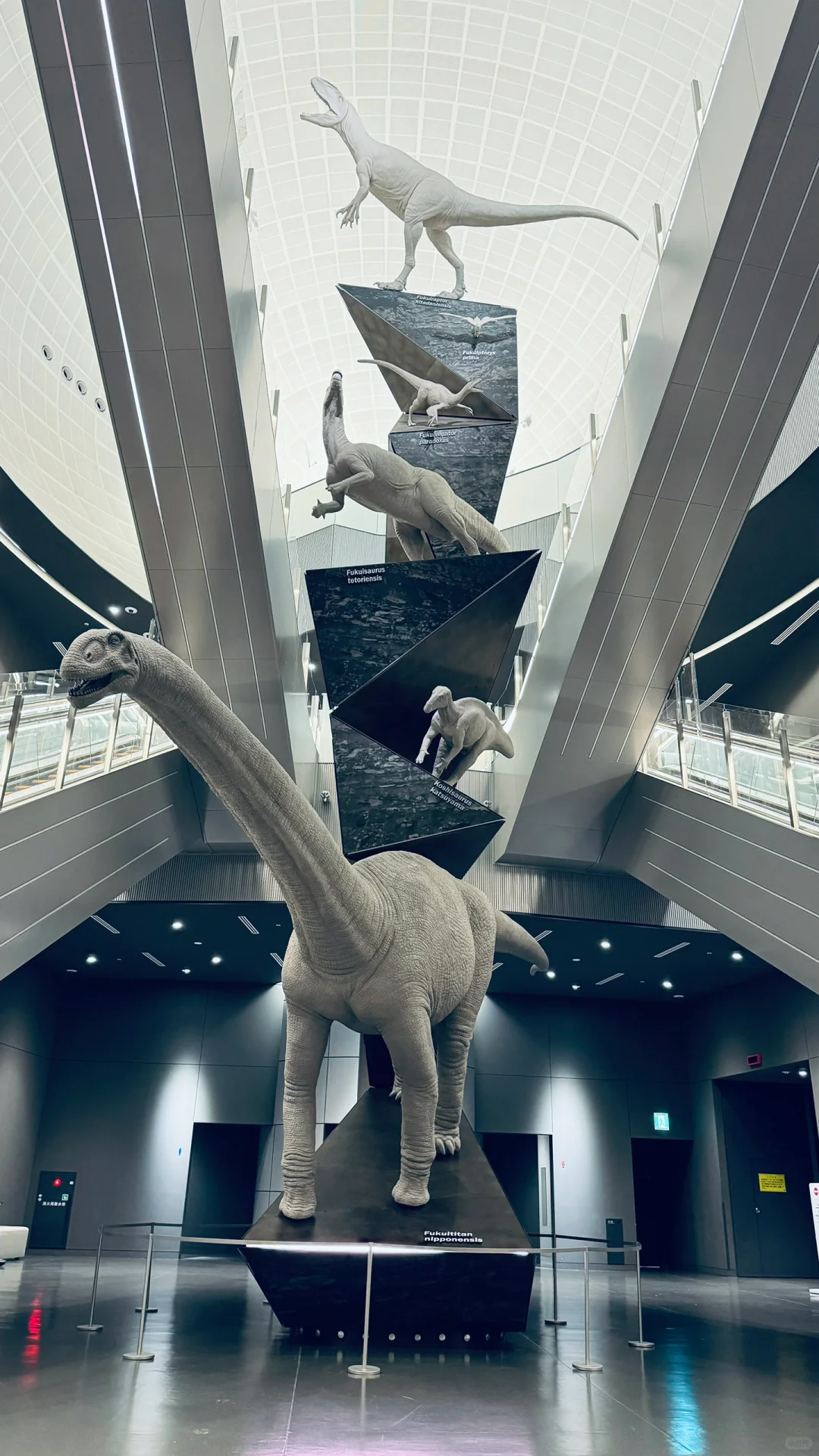 Dino-hunting in Japan