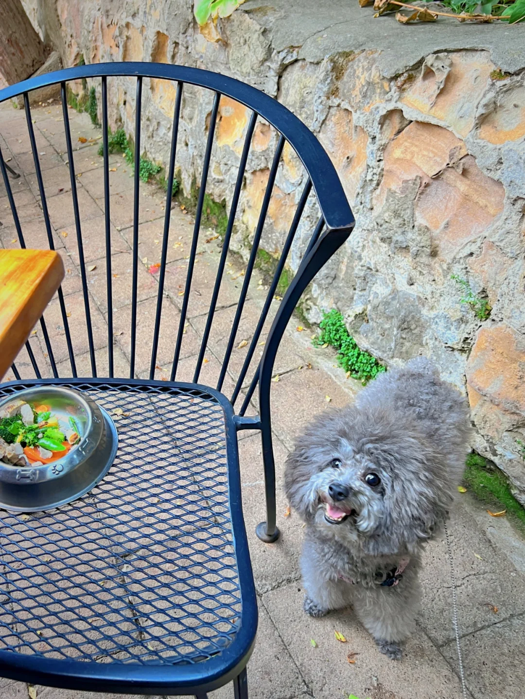 Must-Visit Restaurants in Monterey: A Bay Area Recommendation