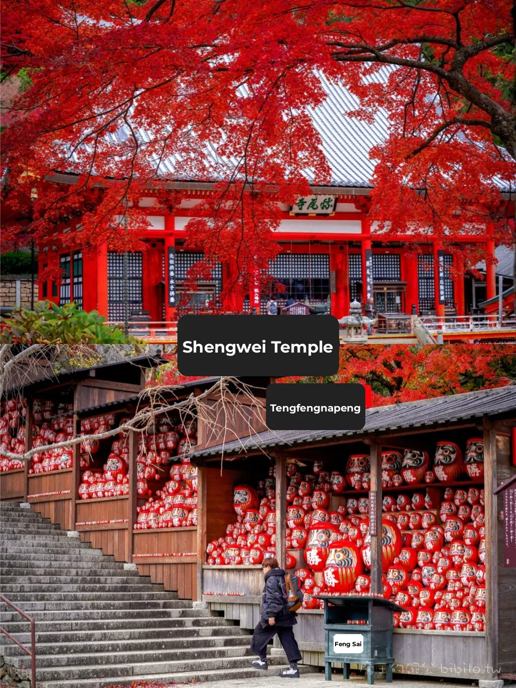 Osaka Autumn Foliage Guide: 8 Must-Visit Spots for Maple Season