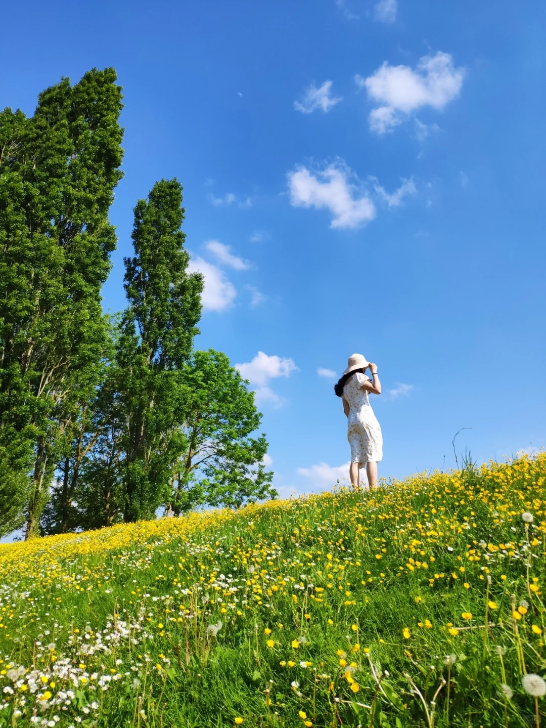 Chevreuse: My Top Picks for the Perfect Picnic & Photo Spot