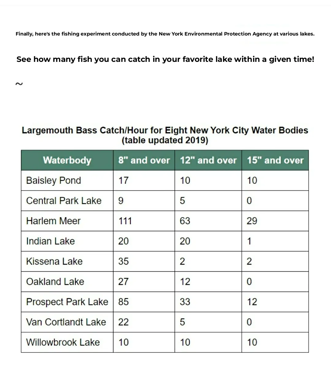 Free Fishing This Weekend 🎣 Top 9 Fishing Spots in NYC