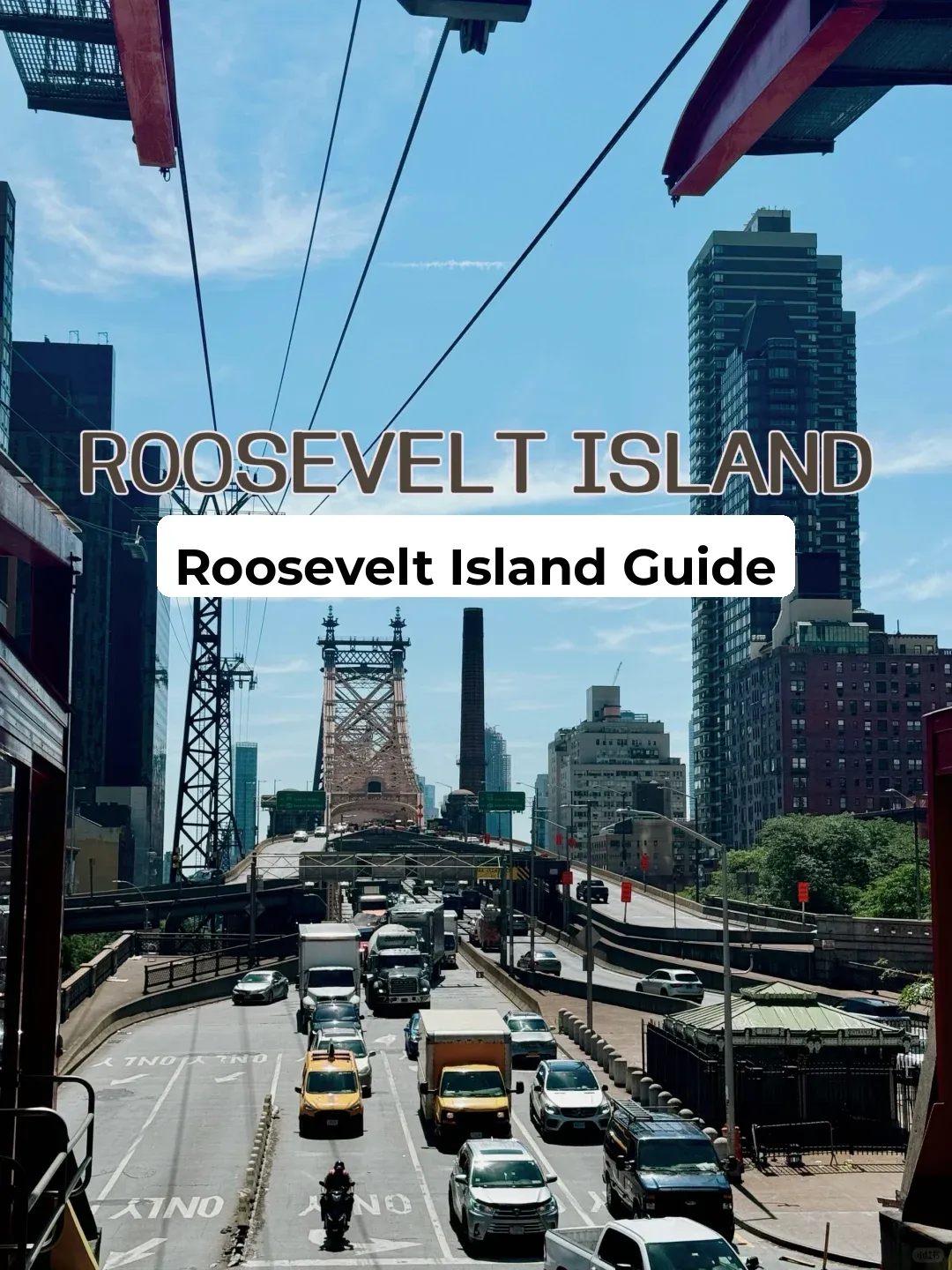 The Last Untouched Sanctuary in New York—Roosevelt Island