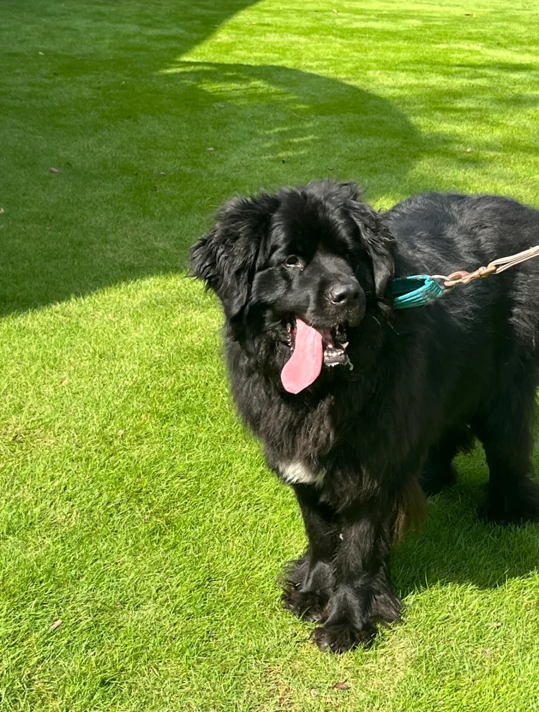 Riverside Café in Atlanta