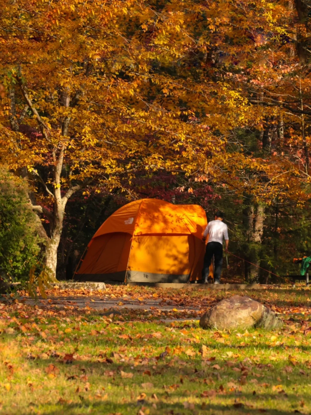 10/27 Great Smoky Mountains National Park in North America is in Full Autumn Splendor 🍁