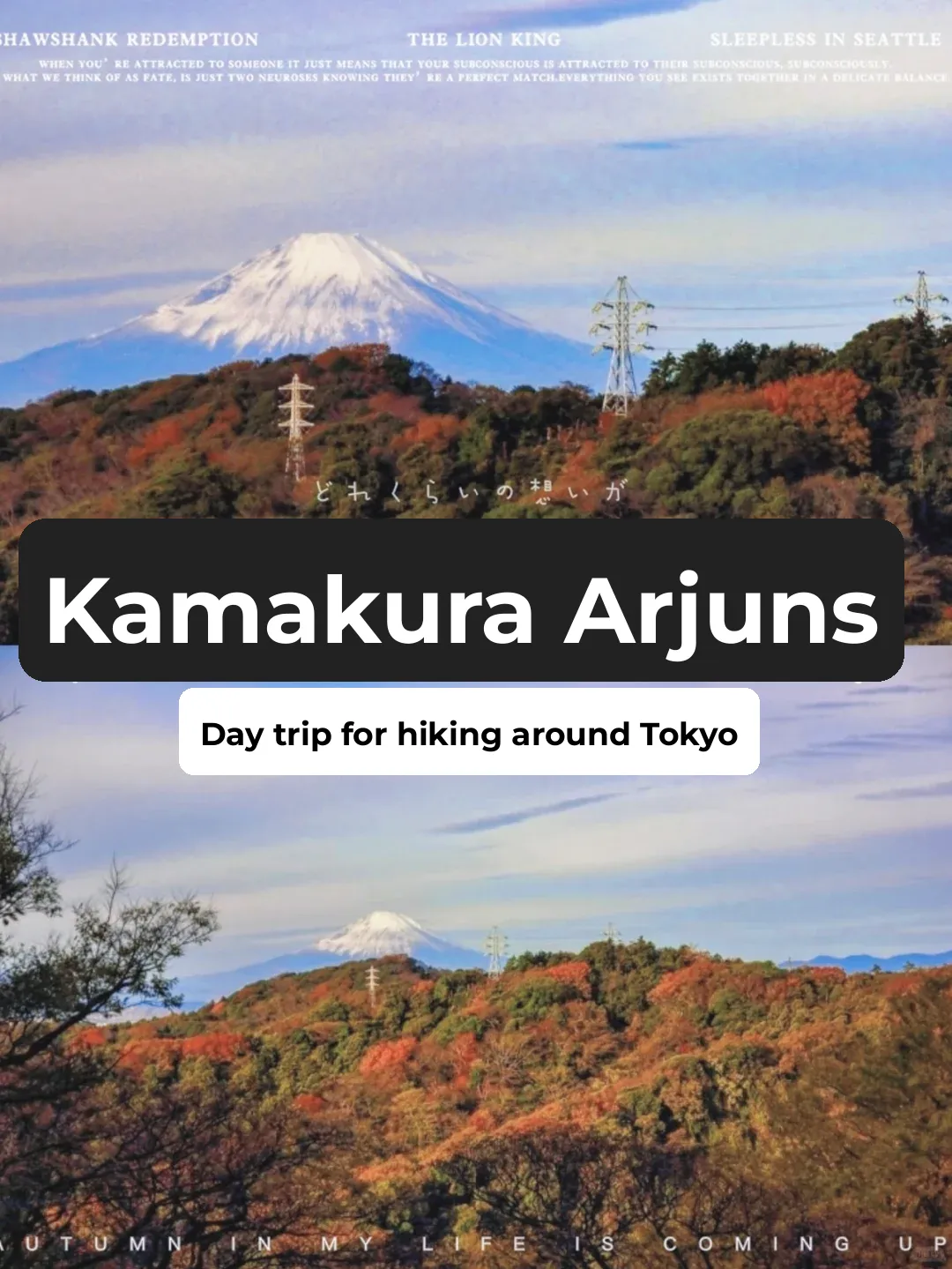 Hidden Gems of Japan: Kamakura's Alpine Hike Adventure