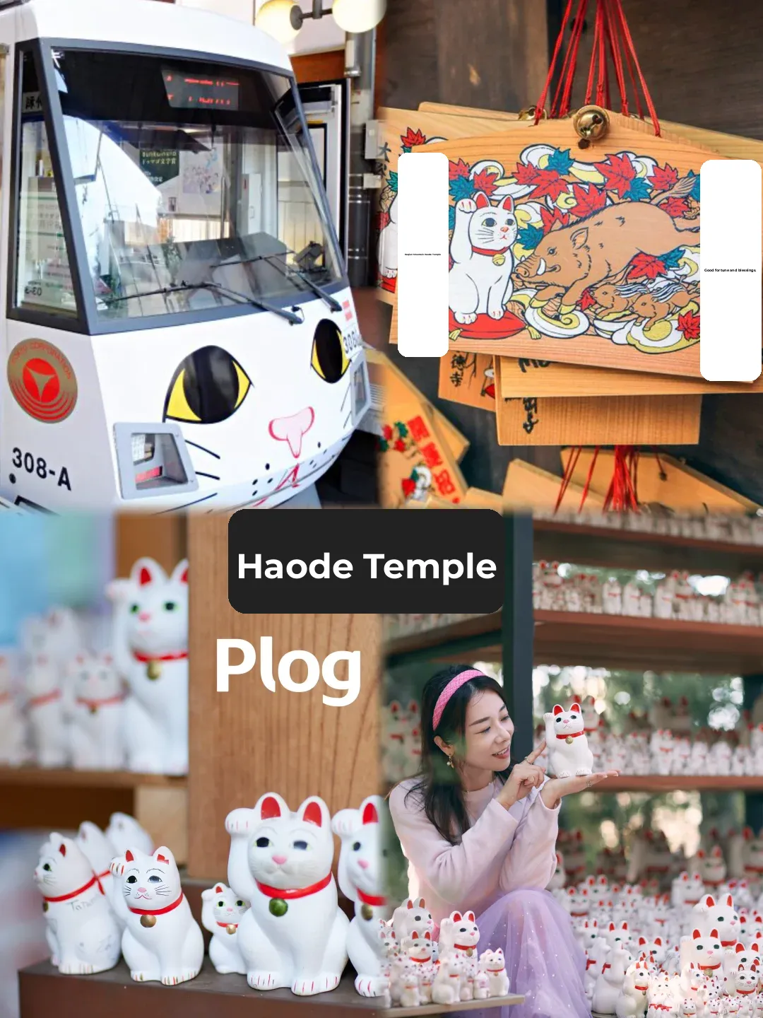 Tokyo 🇯🇵 Gotokuji Temple, Local-Led City Walk Hidden Gems