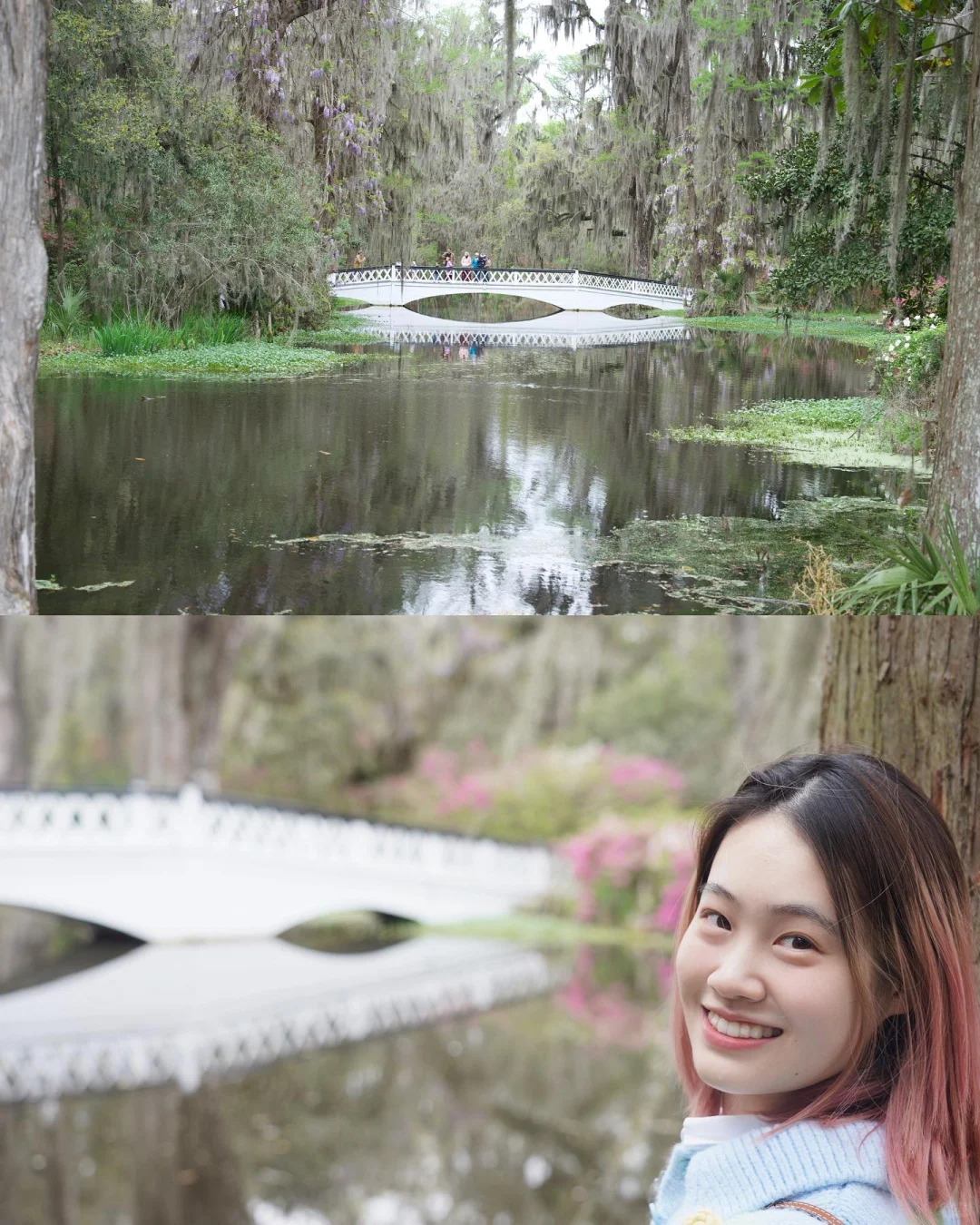 Road Trip from Nashville to Charleston (Part 1)