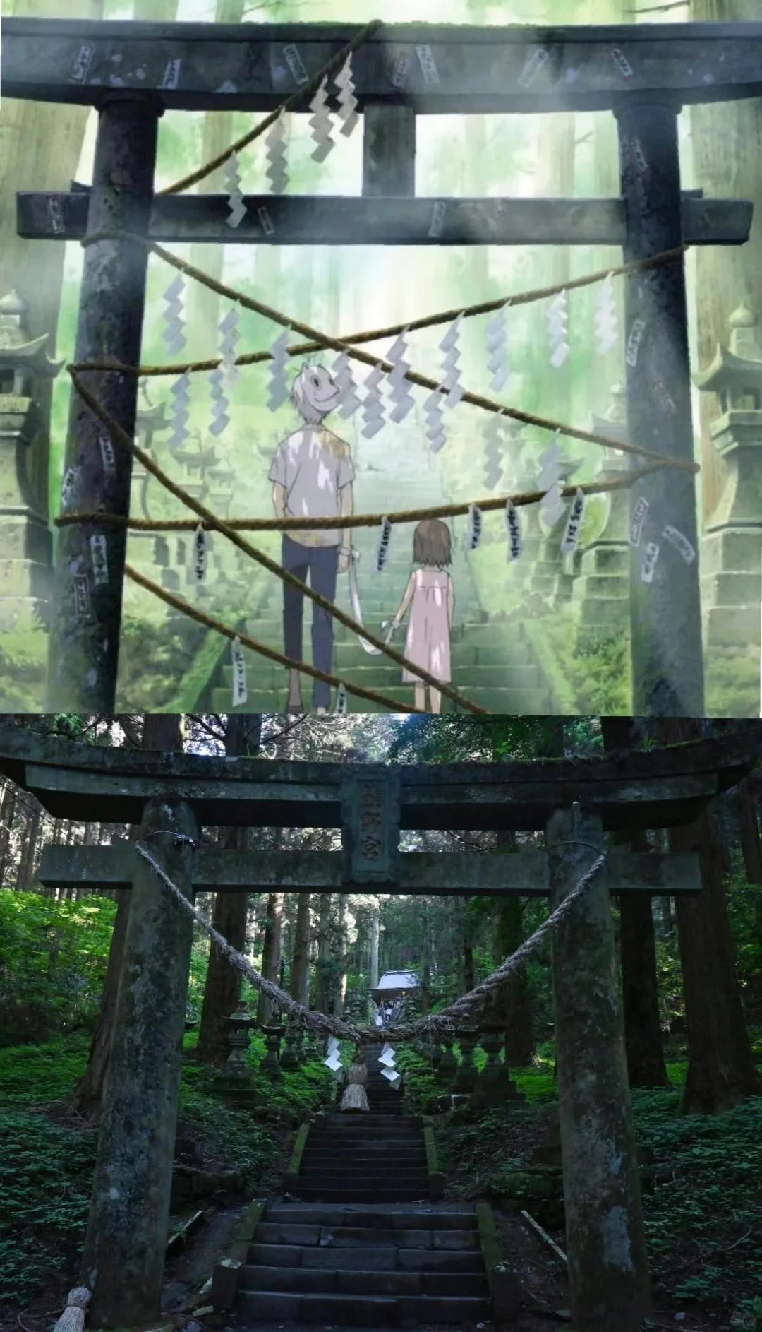 photo-1