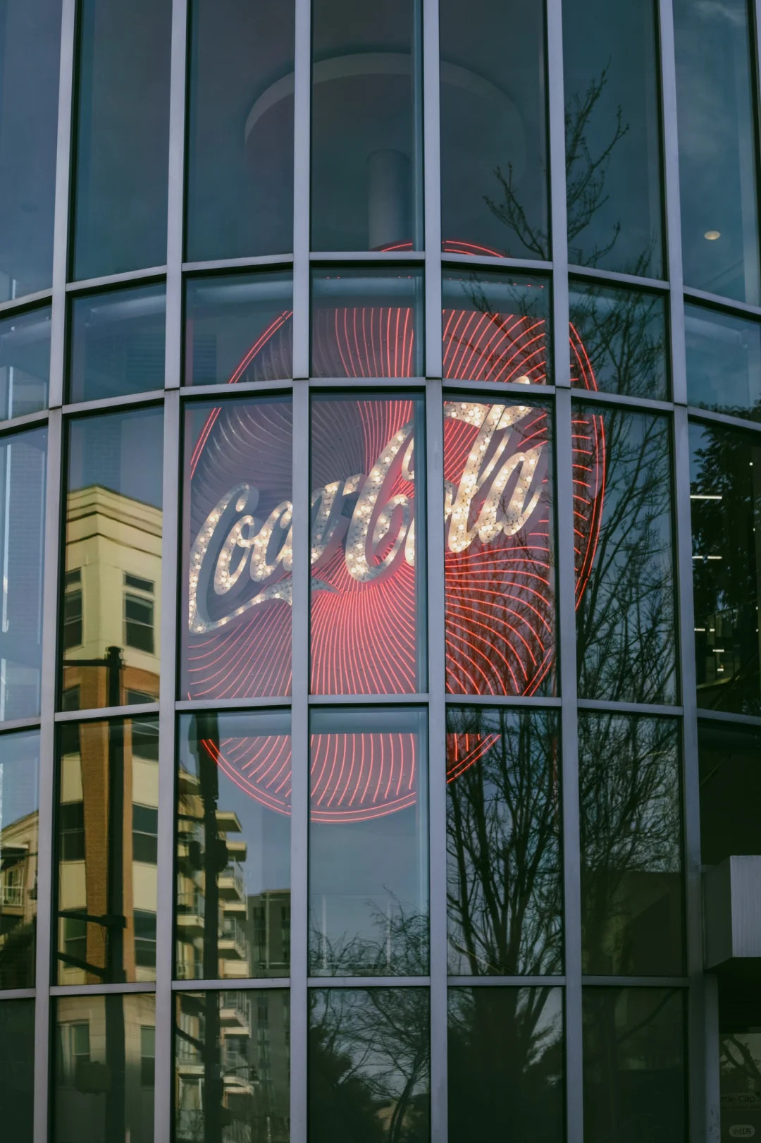 🍑 Atlanta | A Damp Winter