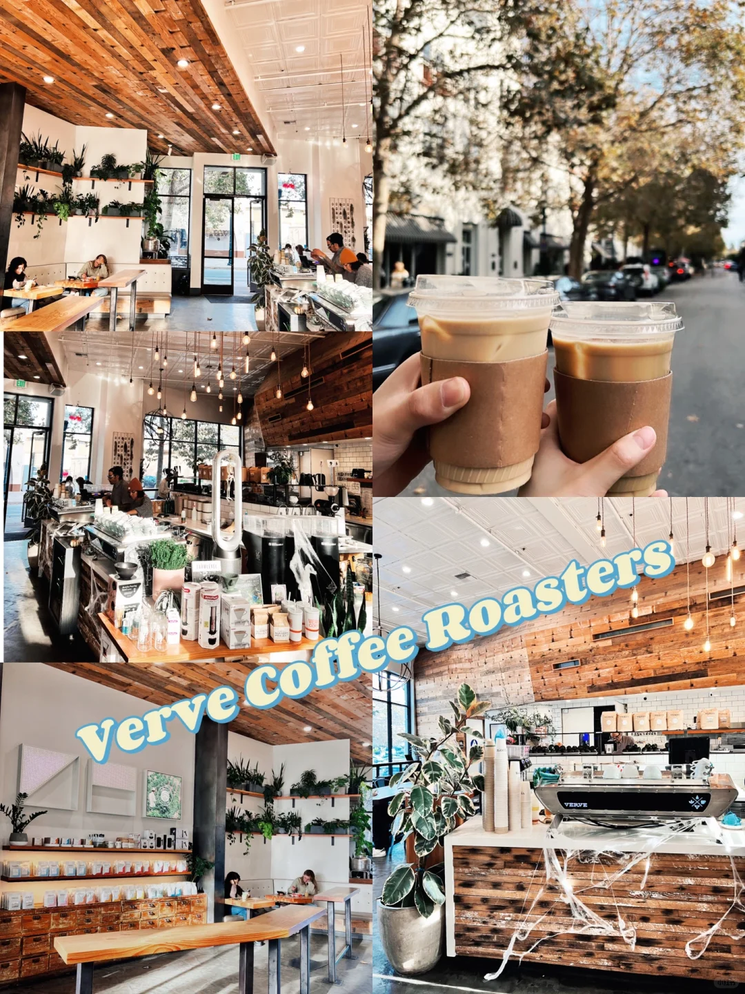 Bay Area Exploration | Highly Recommend Verve, the Pinnacle of Coffee in Northern California ☕️