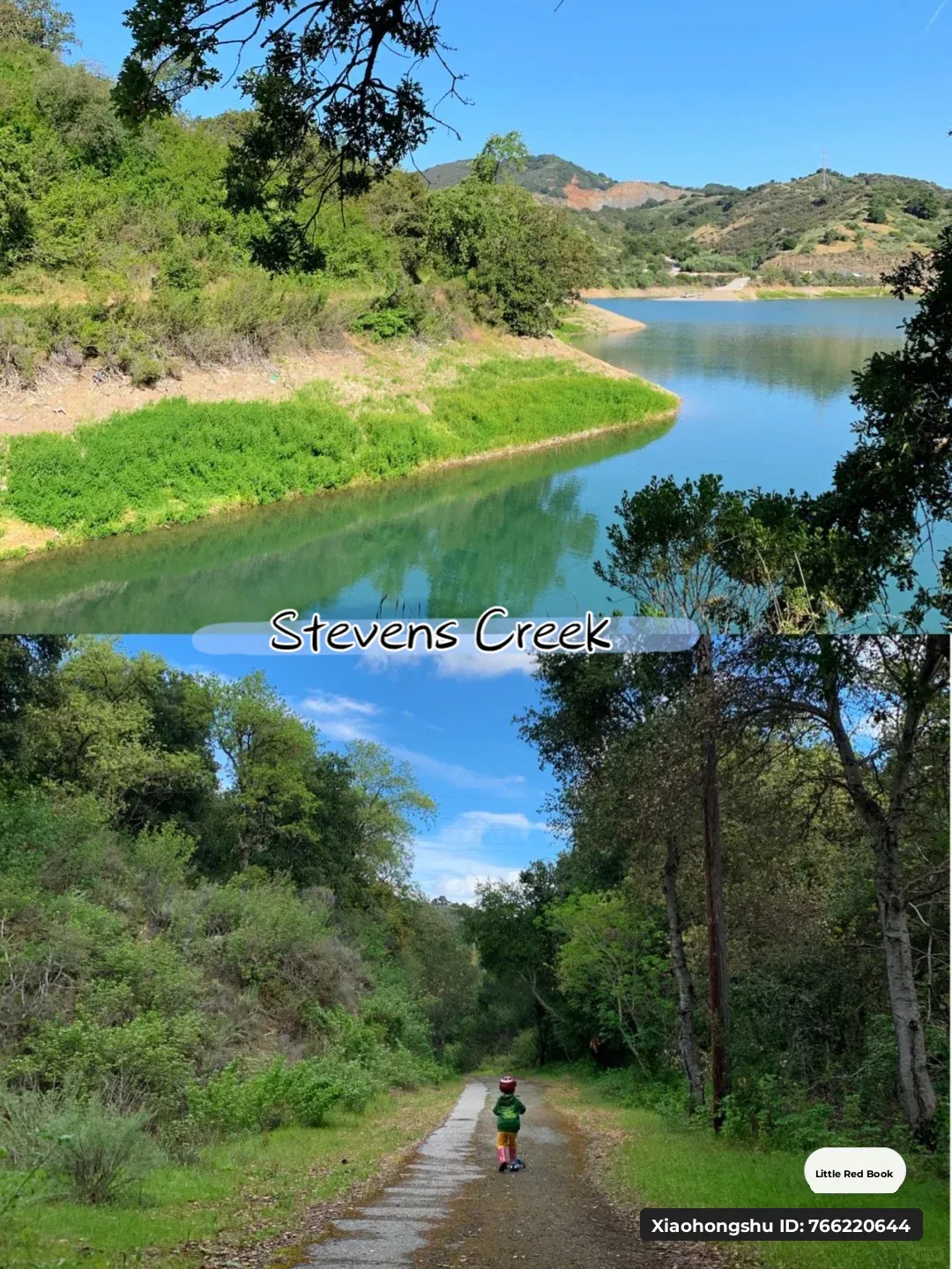 Weekend in the Bay Area | Santa Clara County Park Guide