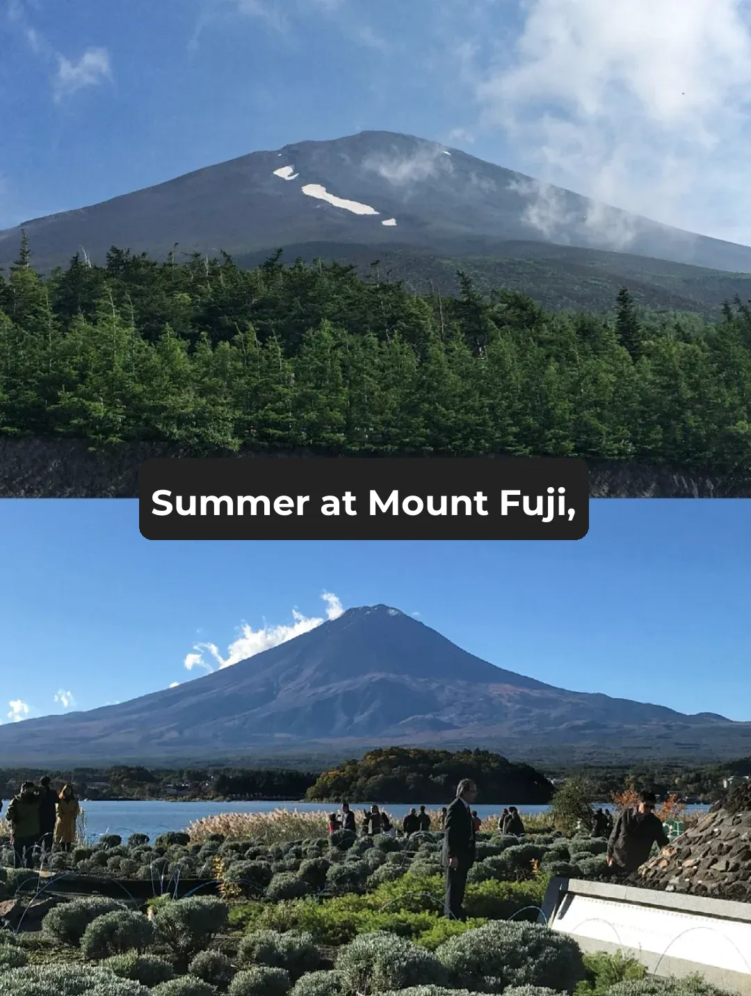 "Planning to Visit Mount Fuji This Summer? Check This Out!"
