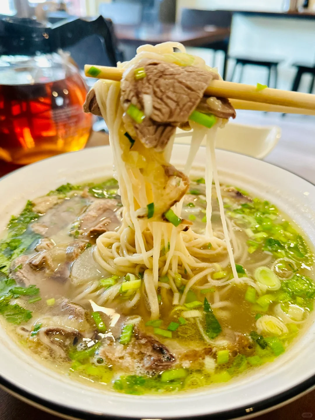 Authentic Lanzhou Noodles🍜 Only $12 with No Tip Required❗️ Let’s Go🔥 NYC Food Adventure #252