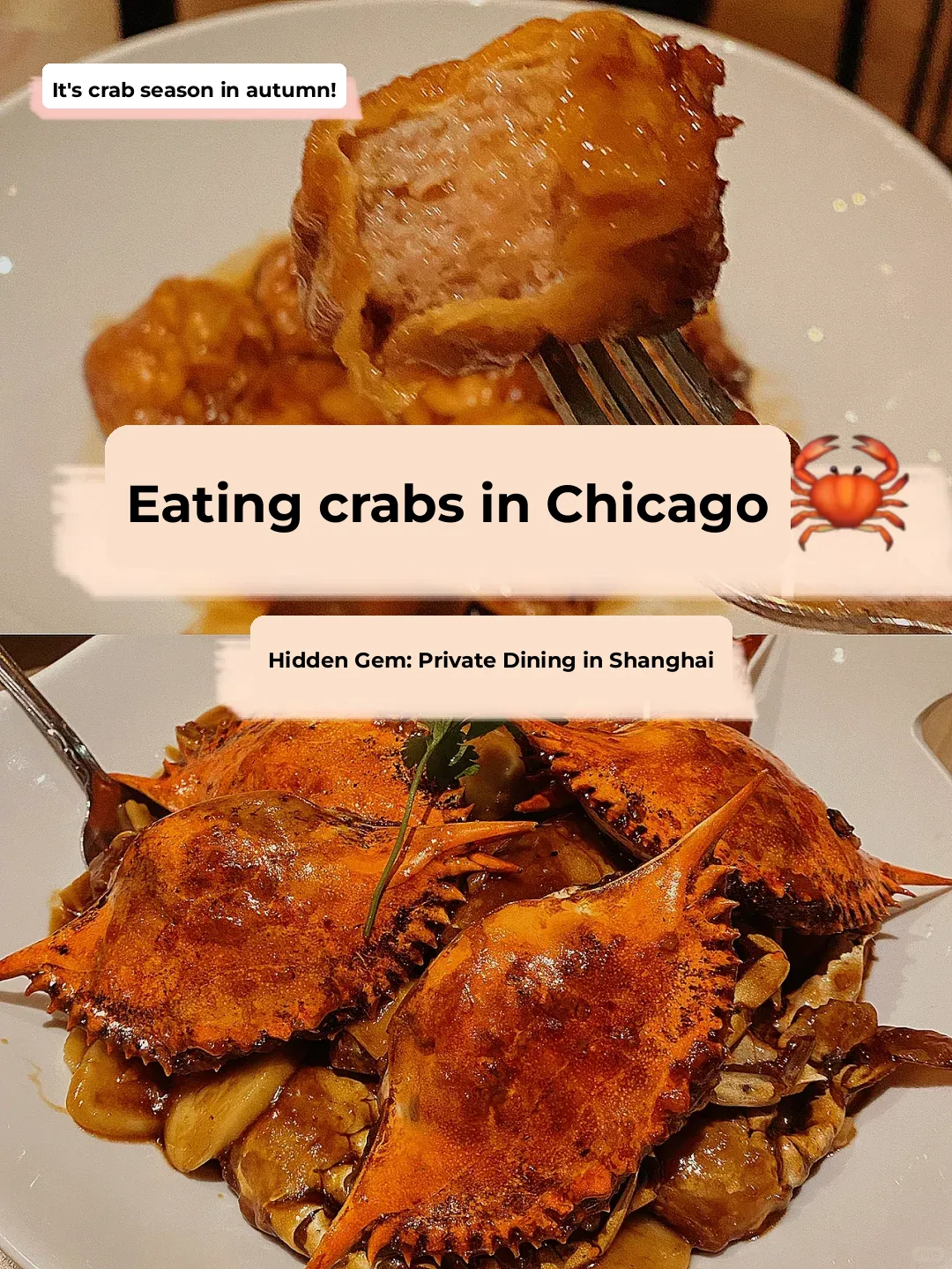 Chicago 🦀️ Hidden Gem: Authentic Shanghai Private Kitchen 🍂 Fall is the Perfect Time for Crab
