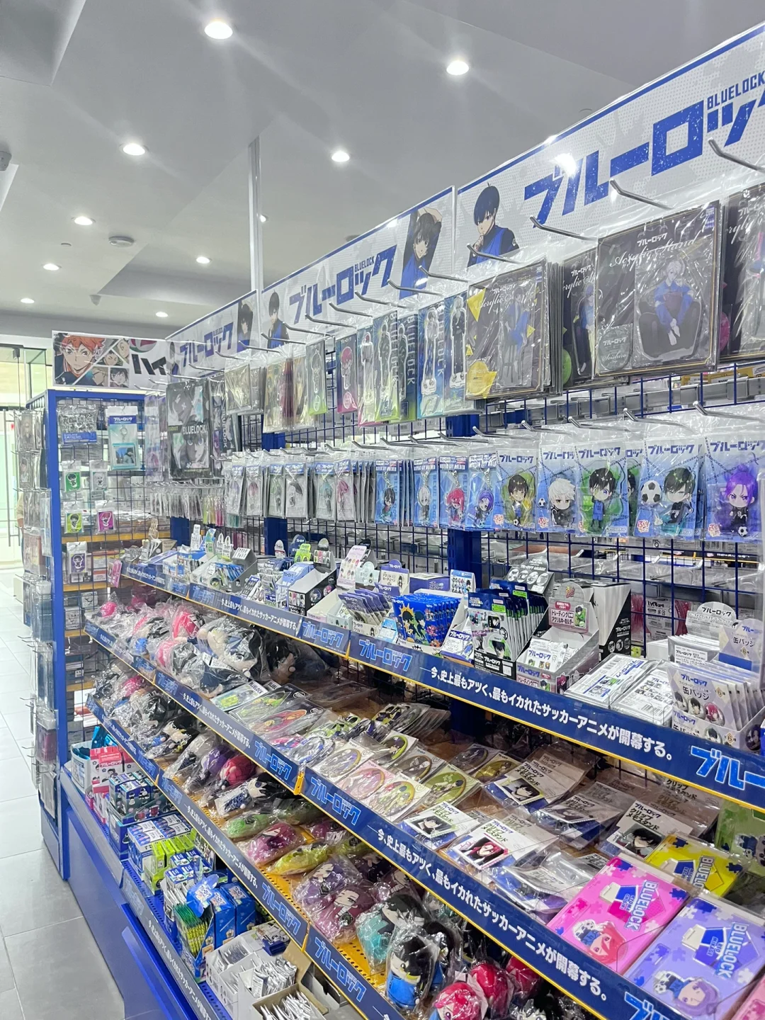 Exploring Animate in LA