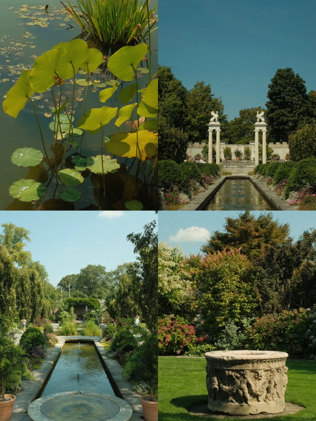 Wandering Through NYC's Global Garden