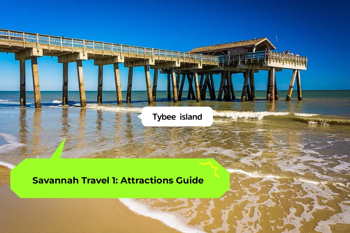 The Ultimate Savannah Travel Guide