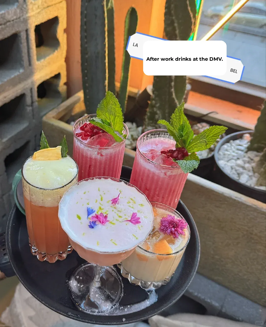 DC Bar｜Stunningly Beautiful! Check Out This Hidden Gem I Just Discovered