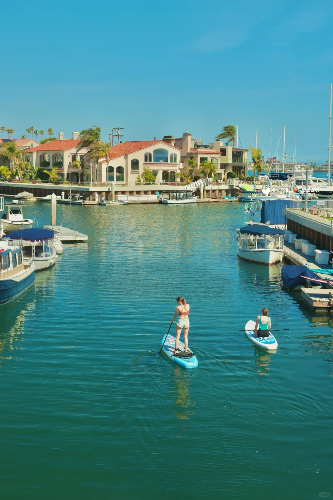 🌴This is LA, not Venice!🌴