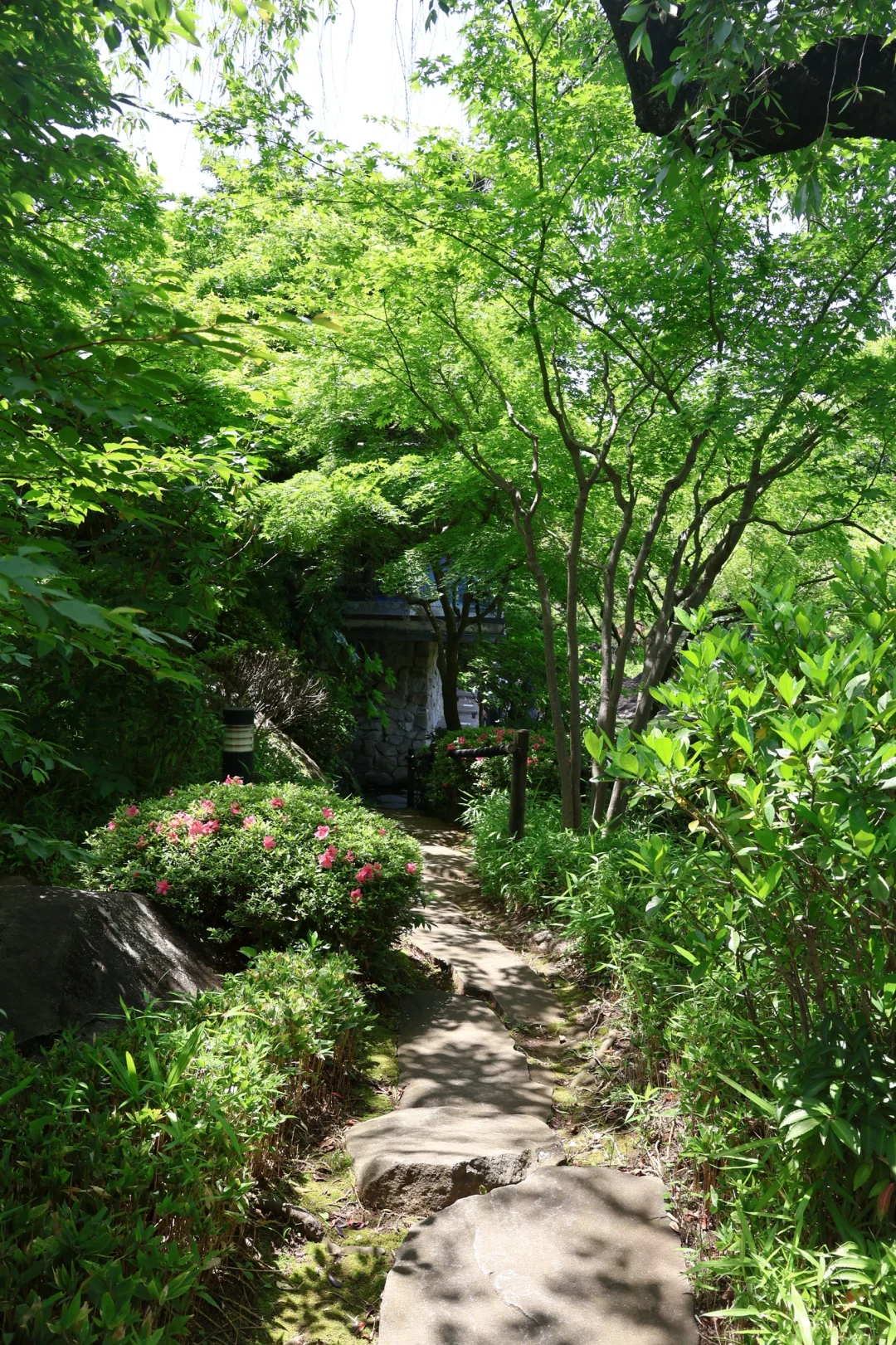 🇯🇵 Don't Miss Mejiro Garden in Ikebukuro – Quiet and Perfect for Photos