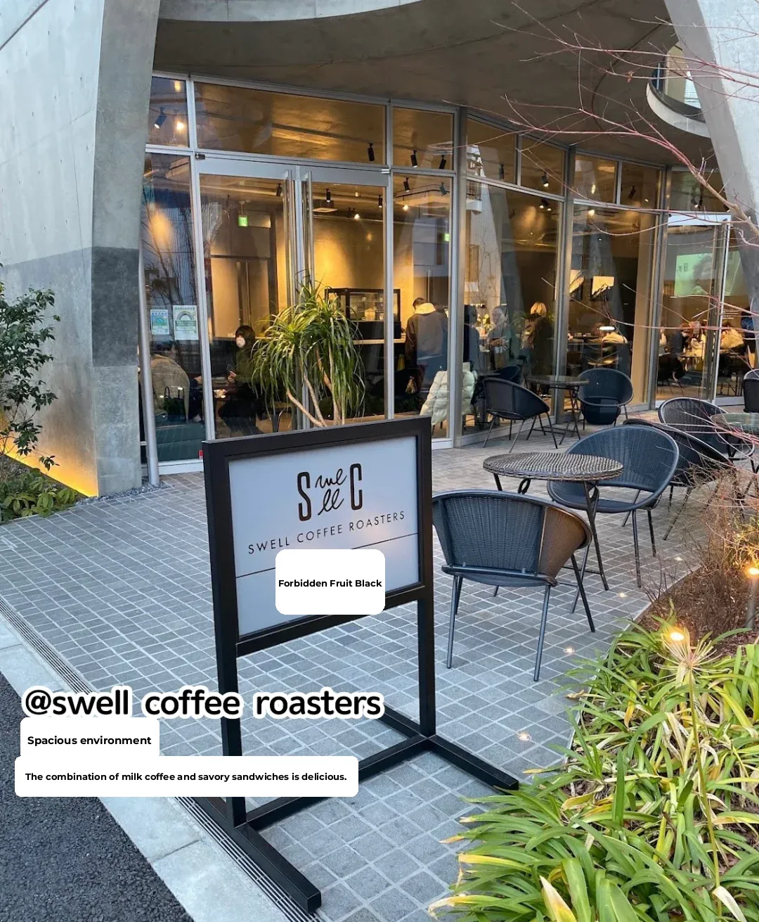 Tokyo Nine Years: My Ultimate Nakameguro Picks!