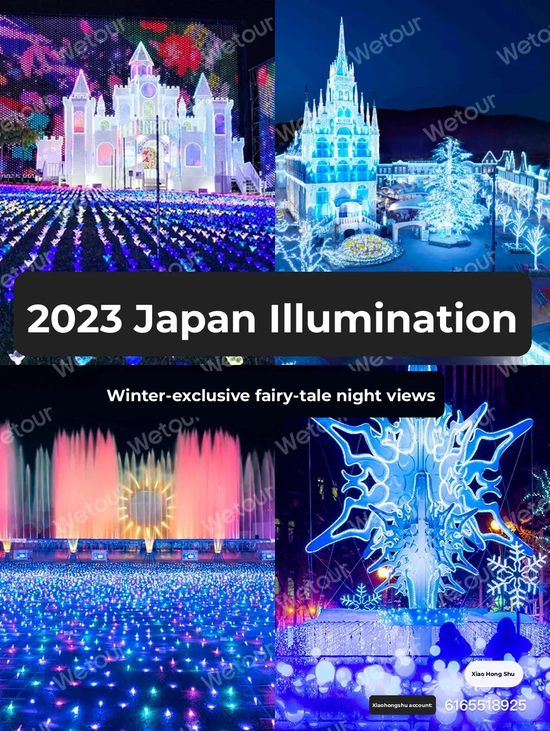 【Tokyo Life Hacks】2023 Japan Limited Illumination - Night Views!