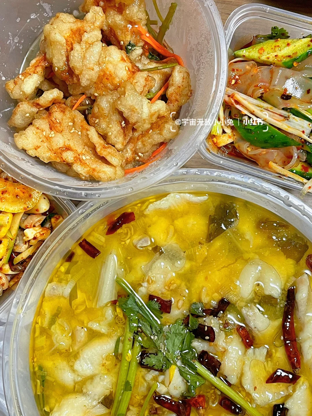 🇯🇵 The Savior of Chinese Takeout in Japan | PandaEats Satisfies the Chinese Stomach