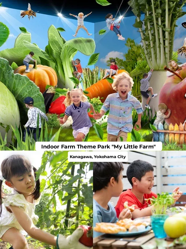 "Shocking! 22 New Facilities Have Already Opened in the Kanto Region This Year…"