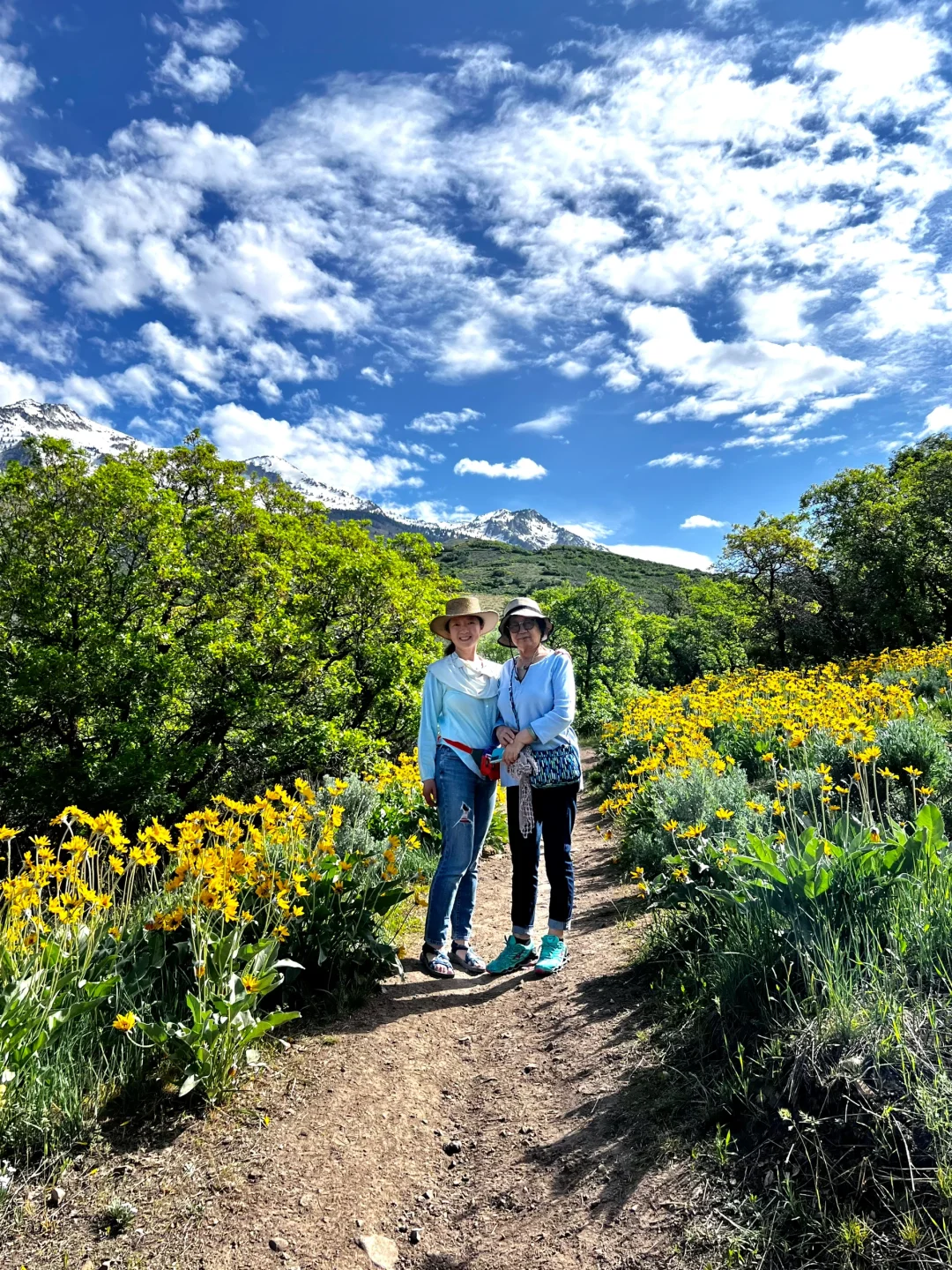 Hiking and Wildflower Viewing Near Salt Lake City: Three Falls Trail