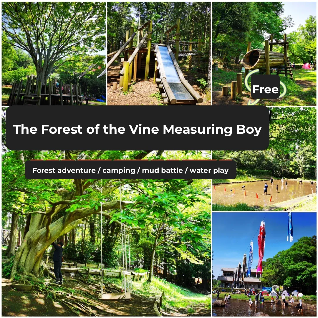Free Kid-Friendly Outing Near Tokyo (Fujisawa Shonen Forest)