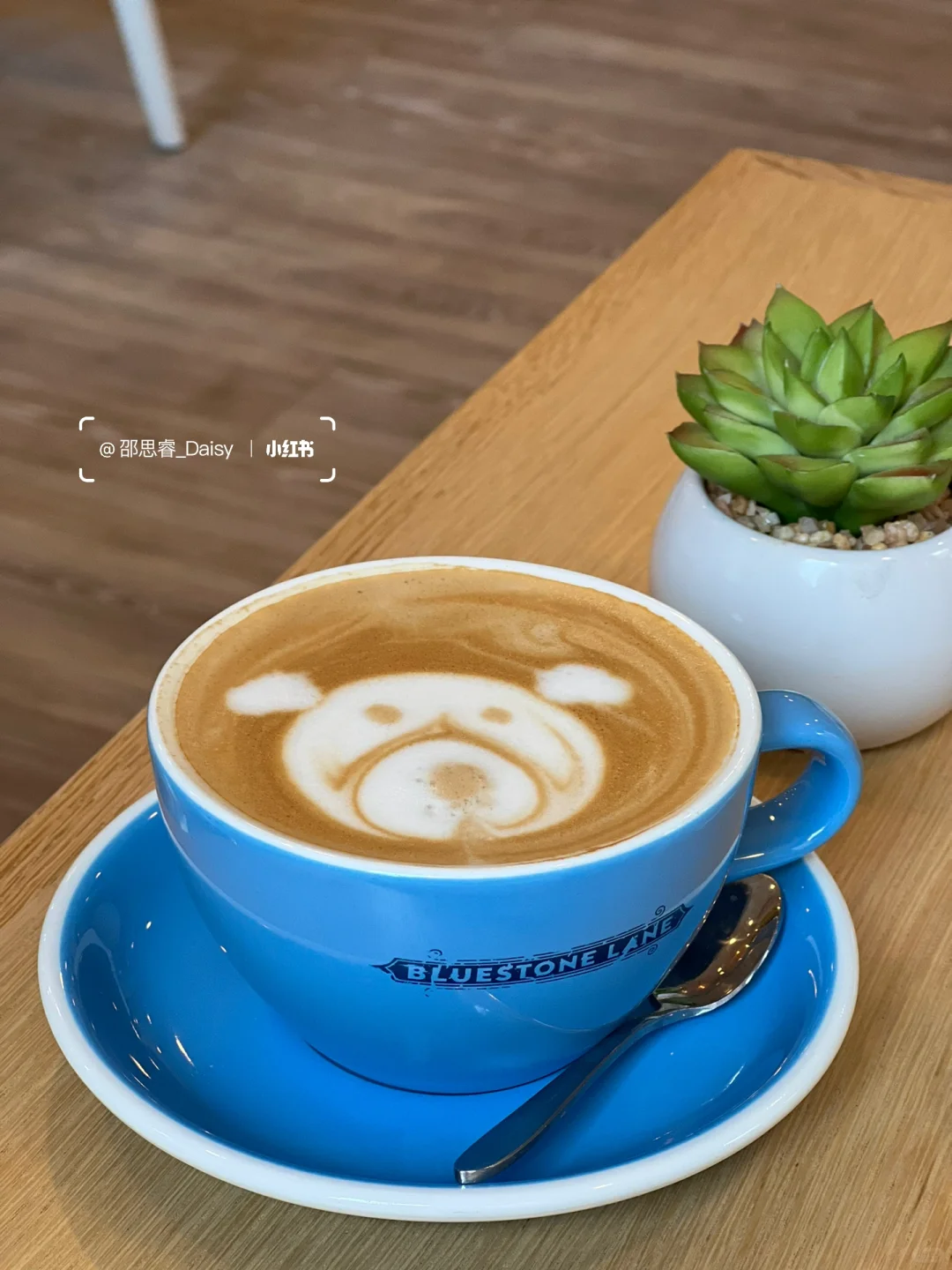 Philadelphia | Downtown Coffee Shops Perfect for Studying ☕️