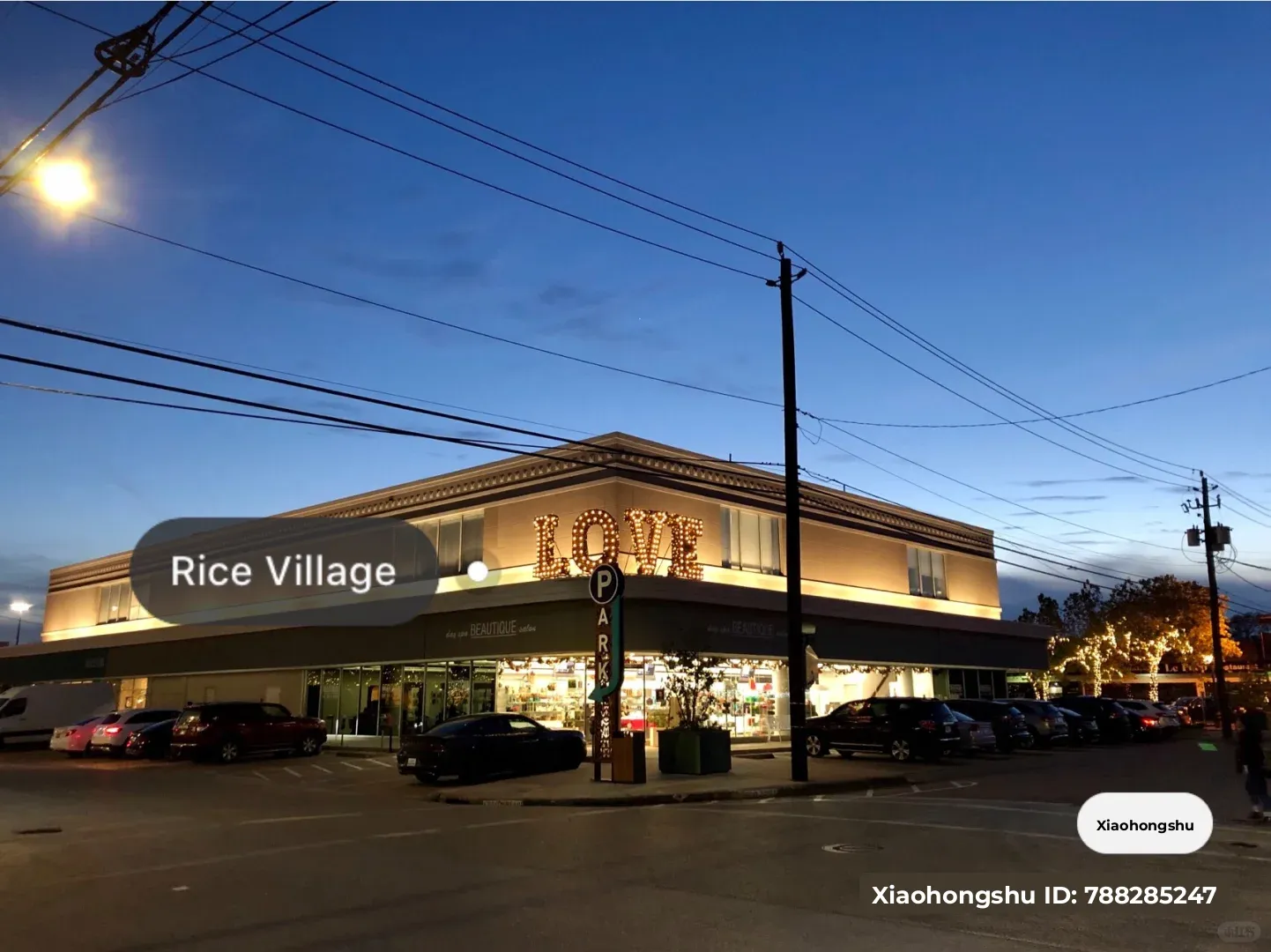 Rice Village Guide: Small but Packed with Everything You Need!!!