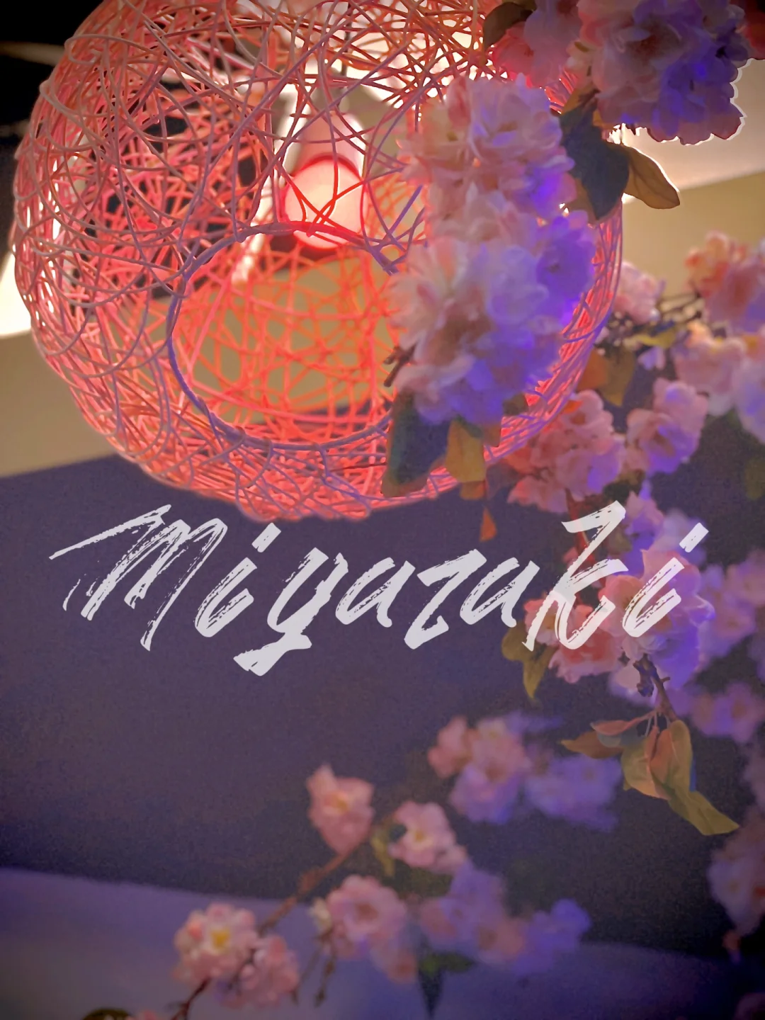 Salt Lake City | Exploring Local Gems | Miyazaki