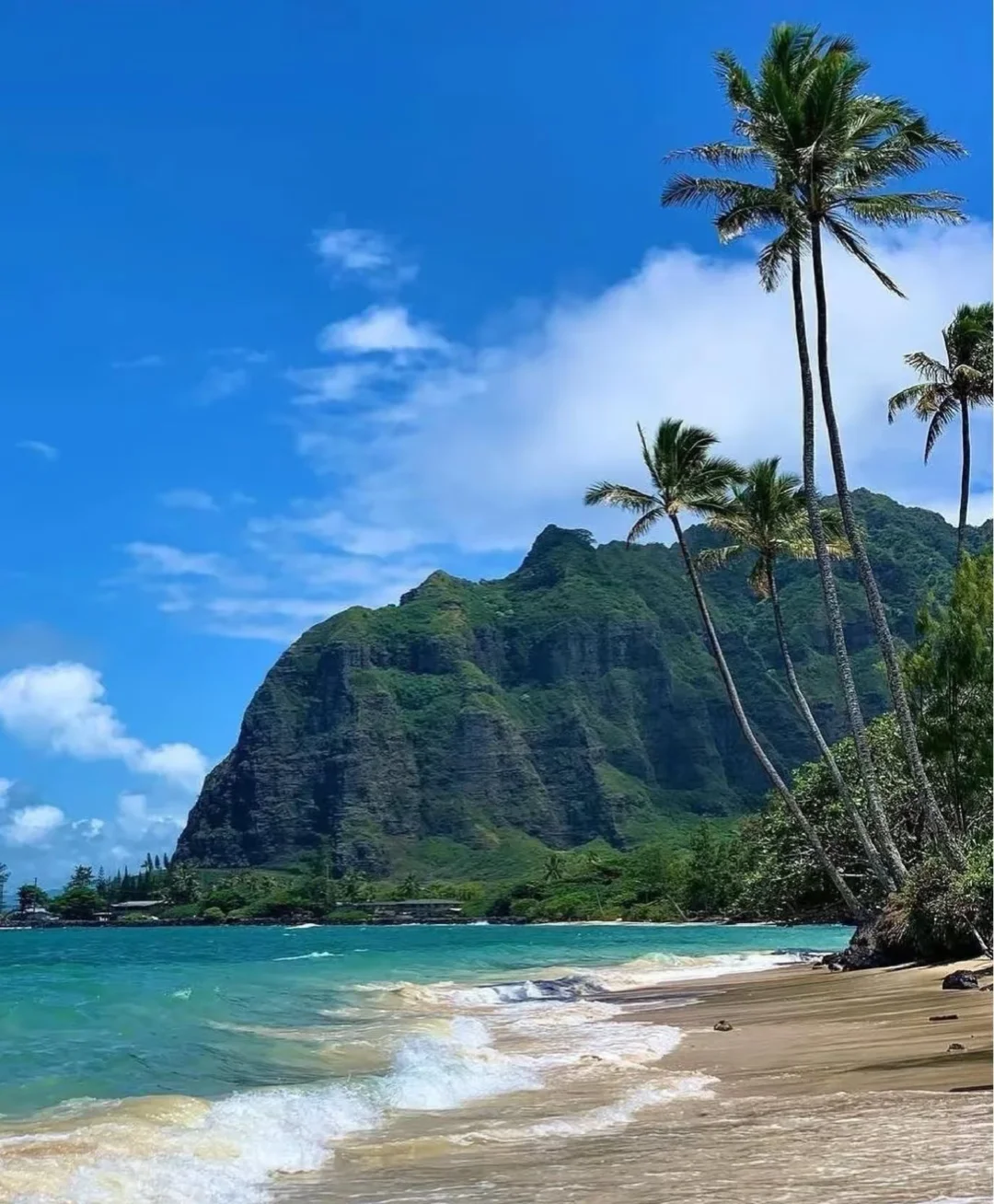 Spend Little 💰 to Enjoy a Luxurious Stay in Hawaii 🌴