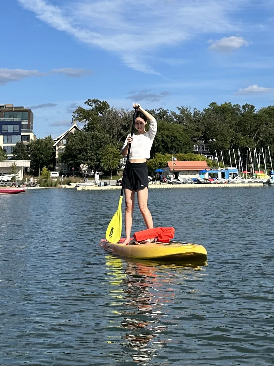 A Collection of Adorable Shops