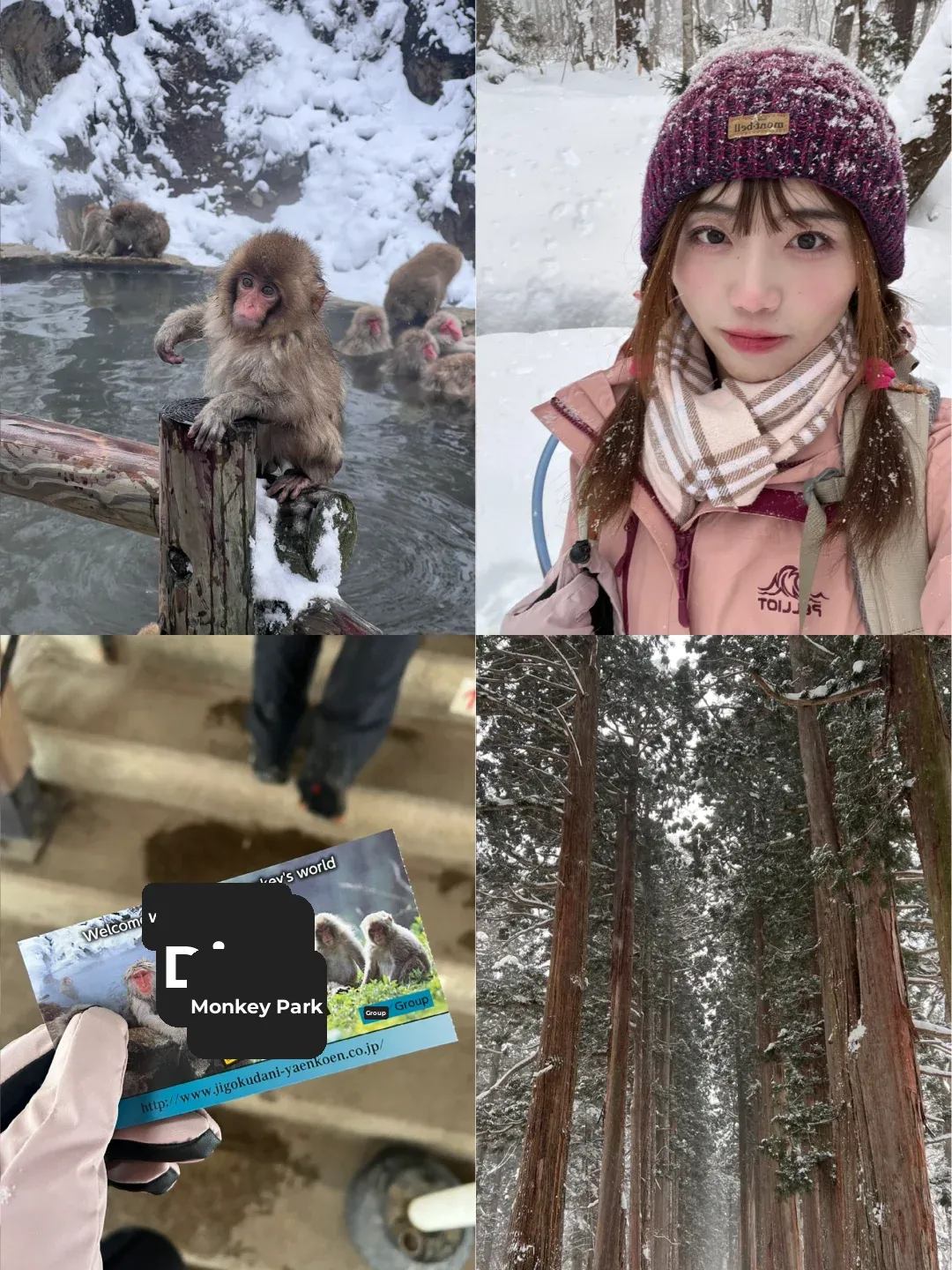 ⛰️ Mountain Girl Diary: 🐒 Hell Valley + Togakushi Shrine 🌲