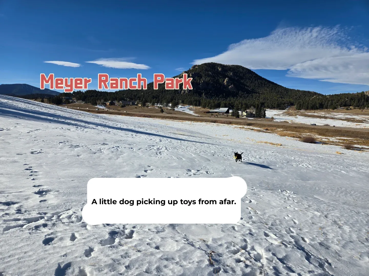 Winter in Colorado | 2 Lesser-Known Snowy Parks for Hiking with Your Dog