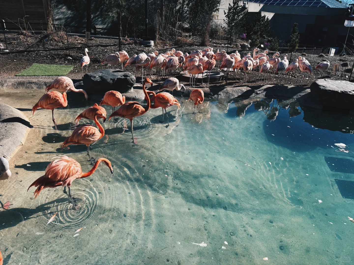 You've Got to Visit Denver, Colorado in Winter—And Not Just for Skiing